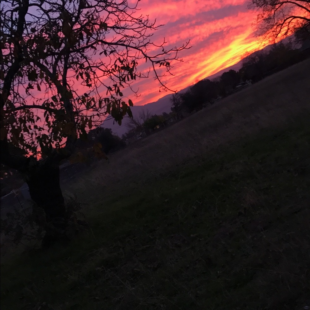 Meet your Posher, Alexandria